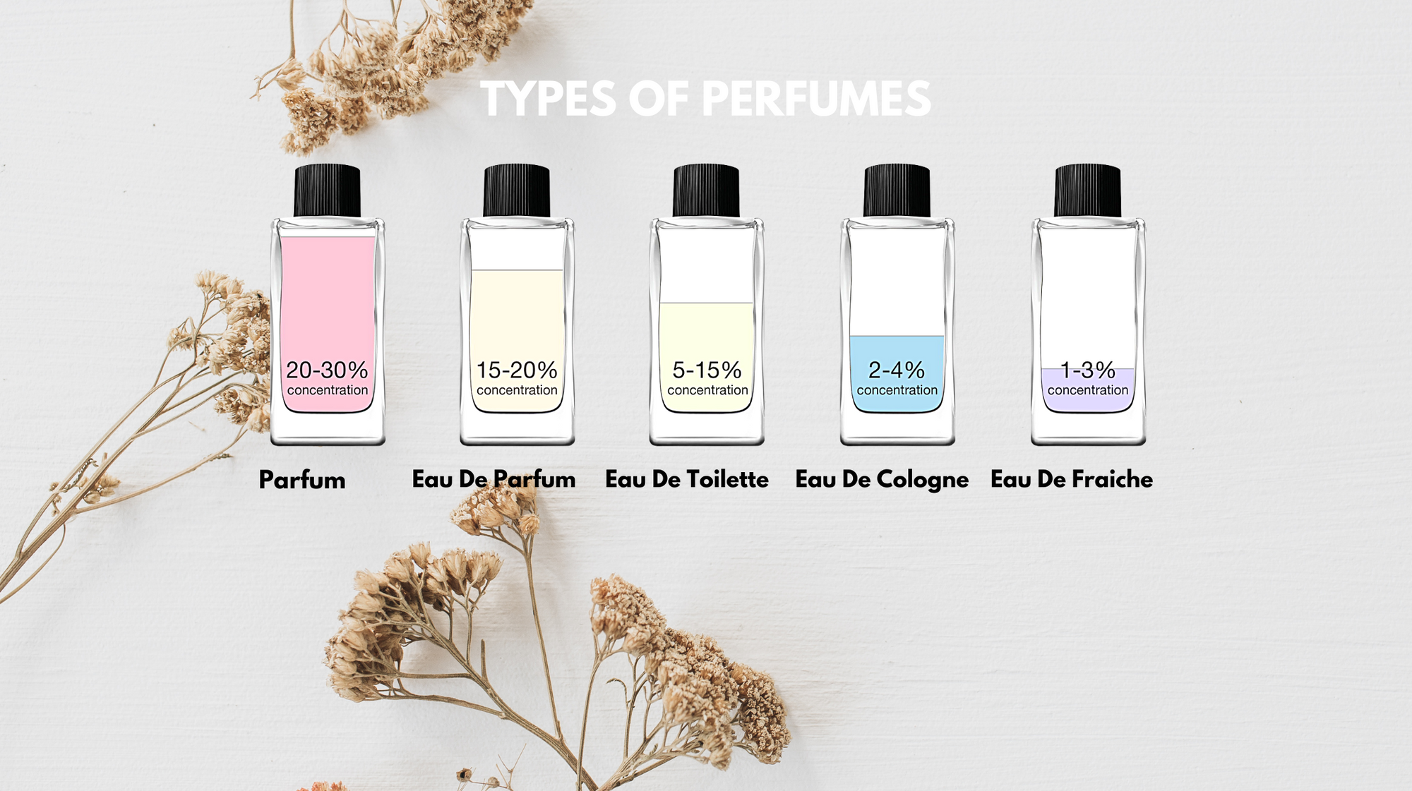 5 Types of Perfumes You Need to Know About