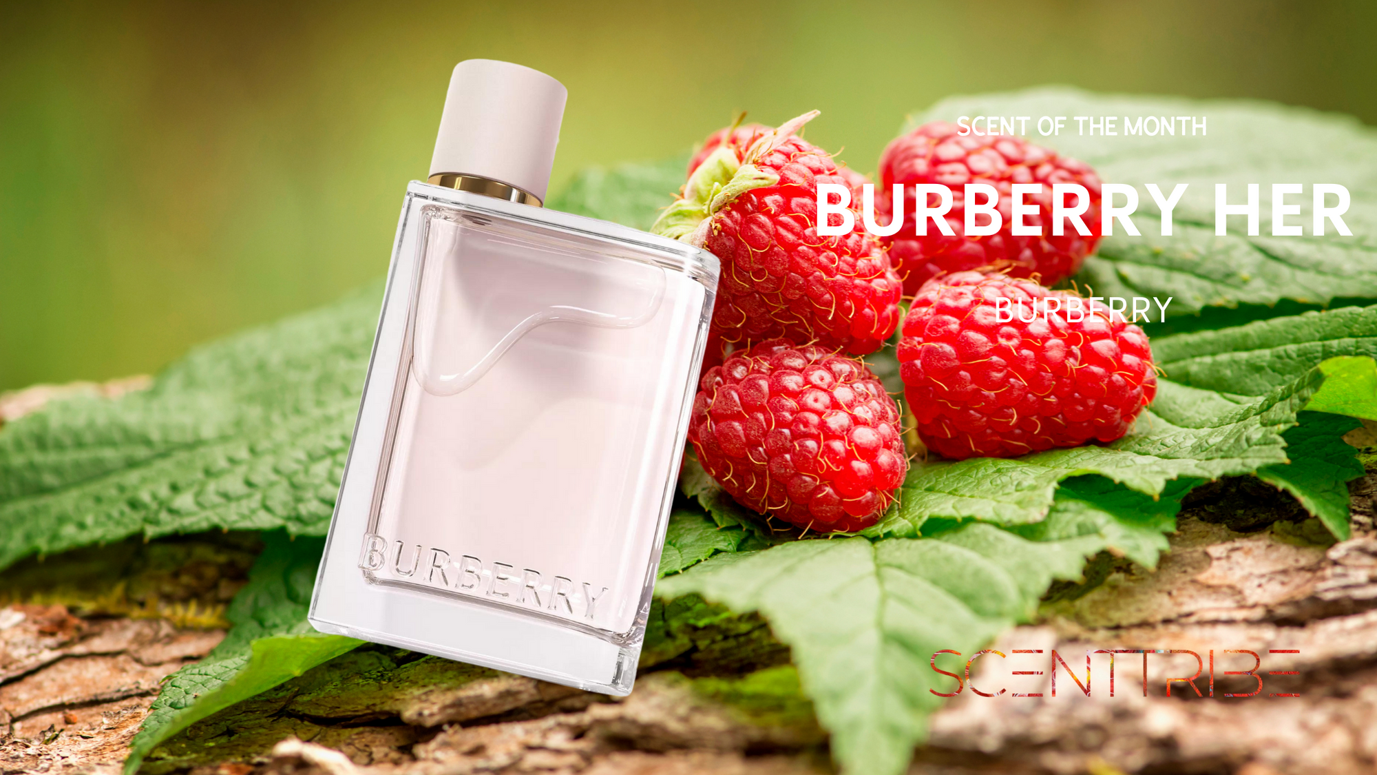 Scent of the month - April 2022
